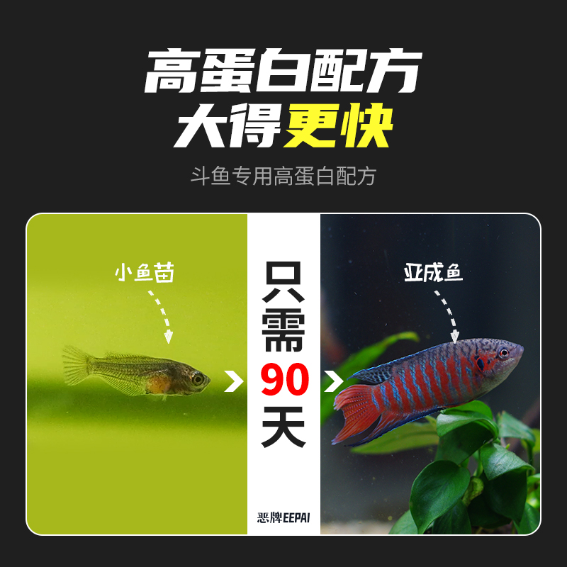 中国斗鱼饲料小颗粒增红鱼粮金鱼曼龙浮专用细鱼食小型鱼普叉鱼料高清大图