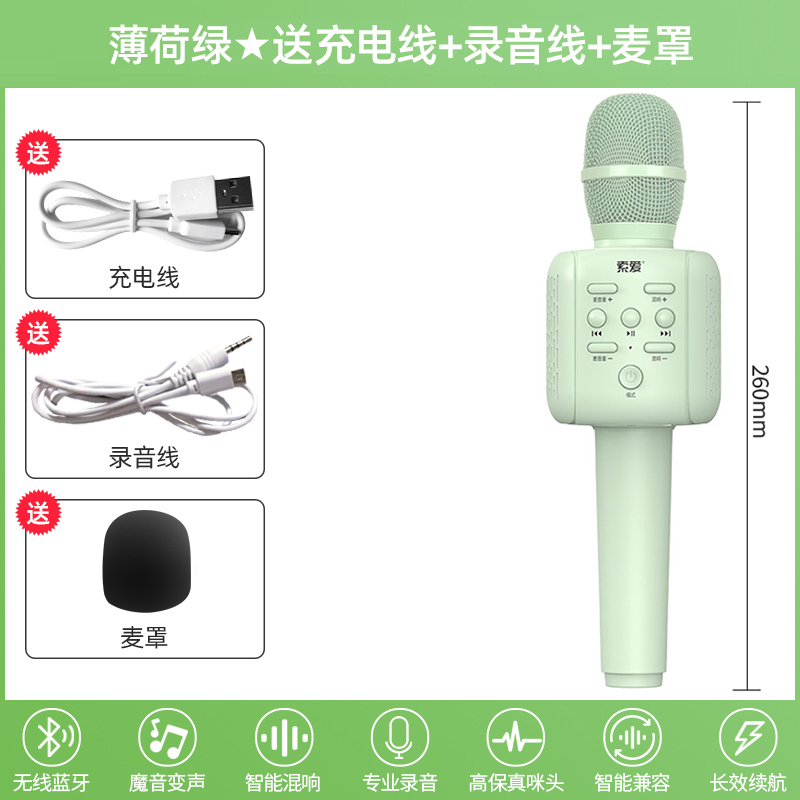 索爱MC6儿童话筒音响一体麦克风卡拉ok唱歌家用无线蓝牙手机全民K歌宝男女小孩宝宝早教主持人练口才适用唱吧 薄荷绿