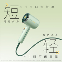 素士电吹风复古低噪音高速大功率亿级负离子吹风机小摩筒RH1