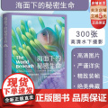 海面下的秘密生命 理查德史密斯 水下摄影 海洋生物科普 潜水 北京科学技术