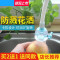 家柏饰(CORATED)水龙头防溅头喷头加延长器厨房家用花洒可旋转自来水过滤嘴节水器 加长款蓝色 1