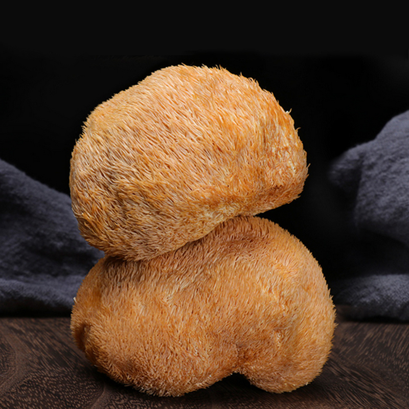 绿帝猴头菇128g.高清大图