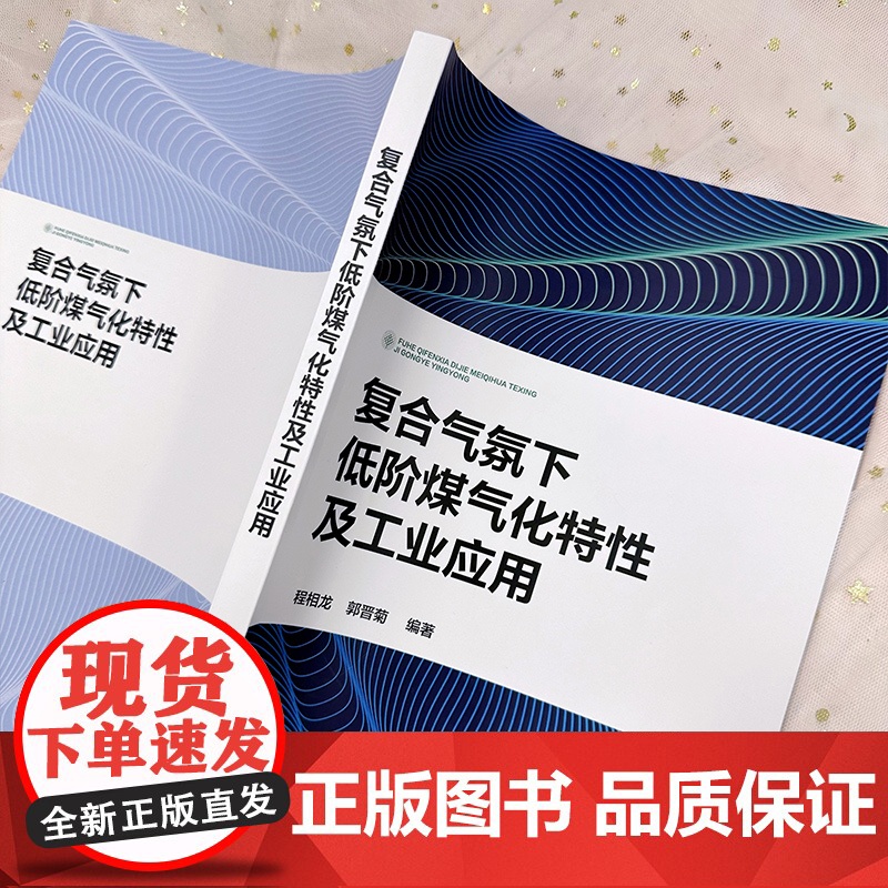 复合气氛下低阶煤气化特性及工业应用 H2O O2 CO2复合气氛下协同作用宏观特征 作用方向 煤化工领域反应器开发技术人高清大图