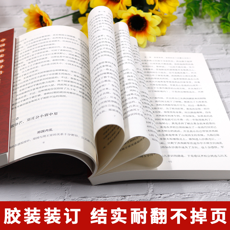 [正版]中国历史超好看全8册 汉史春秋战国秦史三国两晋唐史宋史明史清史 中国历史书书籍中国通史古代史历史书籍历史知识读高清大图