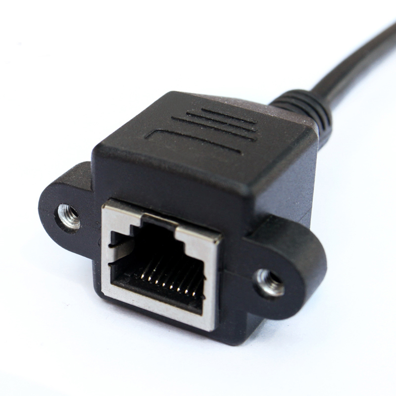 LBYZY CAWP99 CAT6六类网线延长线 网络延长器 纯铜RJ45公对母 直头 黑色0.3米