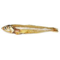 优趣猫咪零食猫零食海洋小鱼干50g冻干多春鱼40g宠物零食狗零食