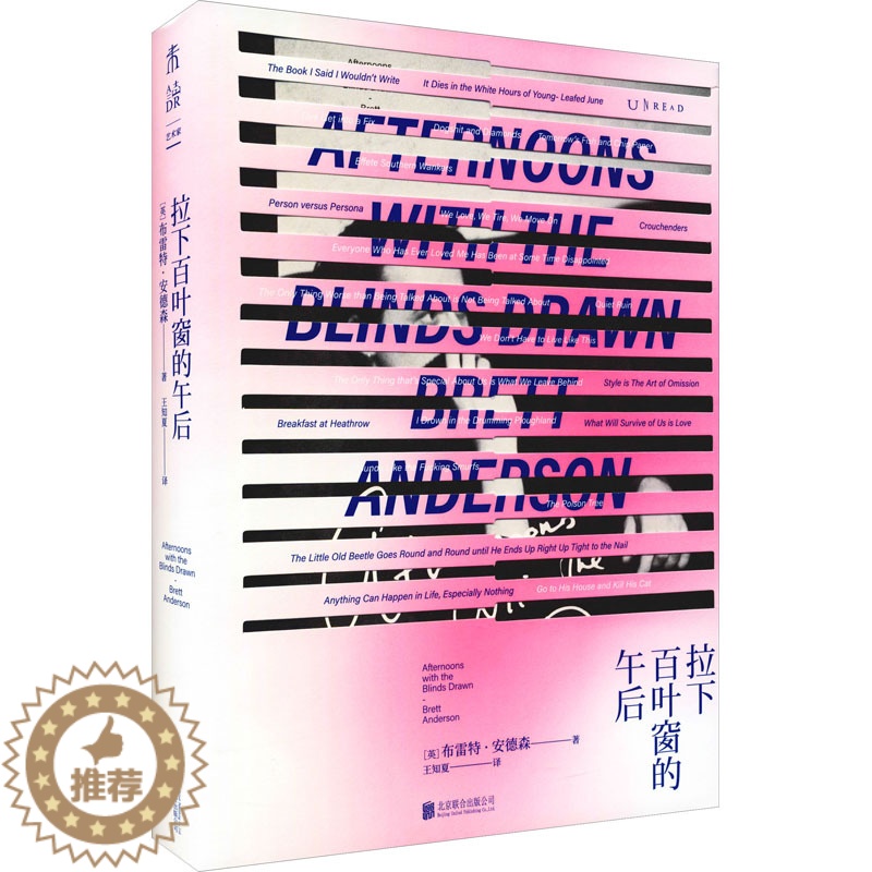 【醉染正版】拉下百叶窗的午后 (英)布雷特·安德森 著 王知夏 译 散文 文学 北京联合出版社 正版图书