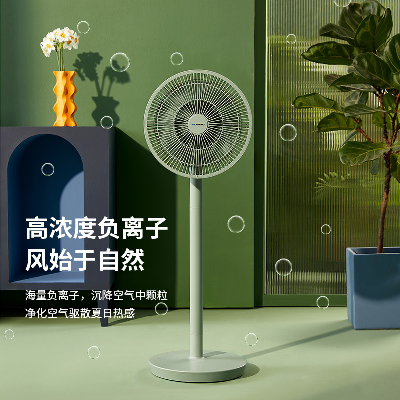 德国蓝宝空气循环扇负离子家用落地扇电风扇漩涡对流立台式遥控