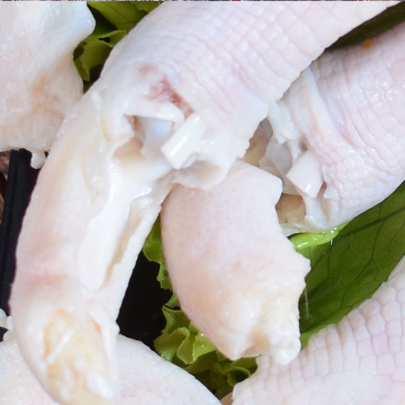 赛卡伊 新鲜鸭掌鸭爪 冷冻生鲜鸭脚鸭货大鸭掌烧烤卤味食材 新鲜活杀