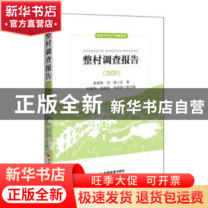 正版 整村调查报告(2020) 耿明斋,刘涛 中国经济出版社 9787513高清大图