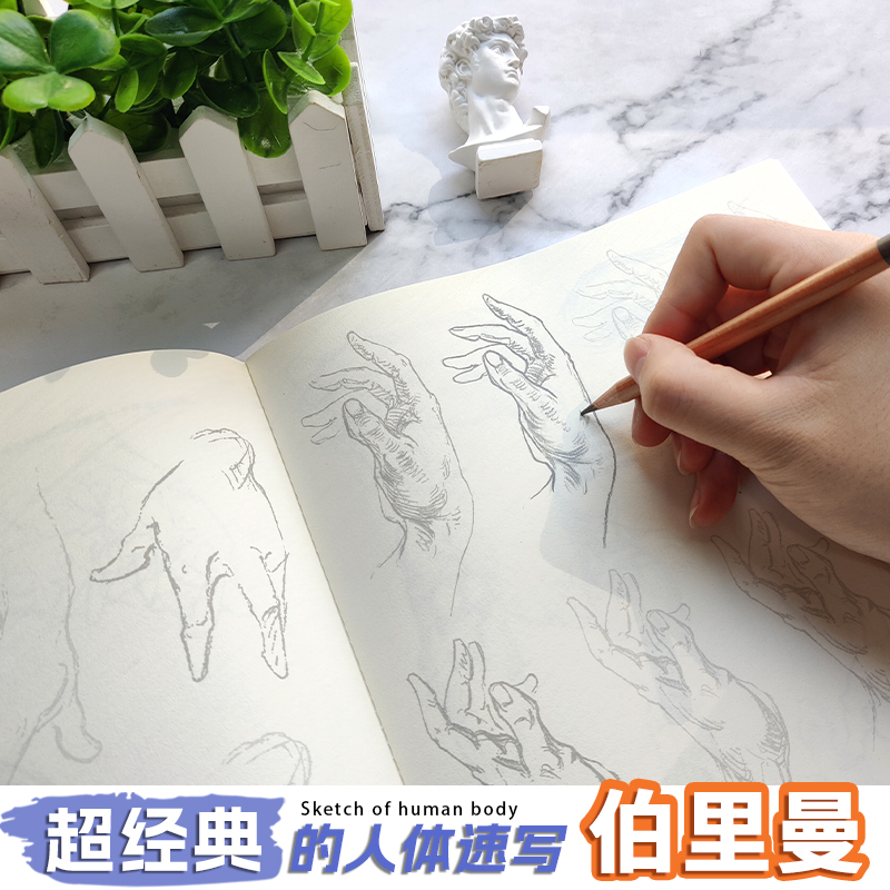 [正版]伯里曼 动态比例 篇 人体教学描摹本 伯里曼人体结构临摹描摹练习册 素描人体结构速写基础自学描摹练习册高清大图