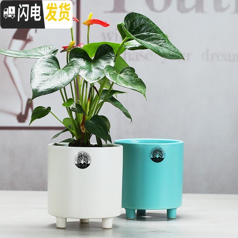 三维工匠北欧陶瓷多肉花盆大号圆筒形简约创意个性文心兰托盘 三脚盆天蓝色(1086)+送竹托 大花盆容器图片