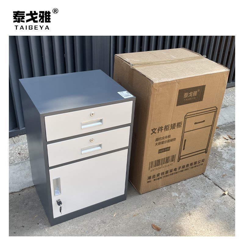 泰戈雅 文件柜矮柜 TGY-161 个-1图片