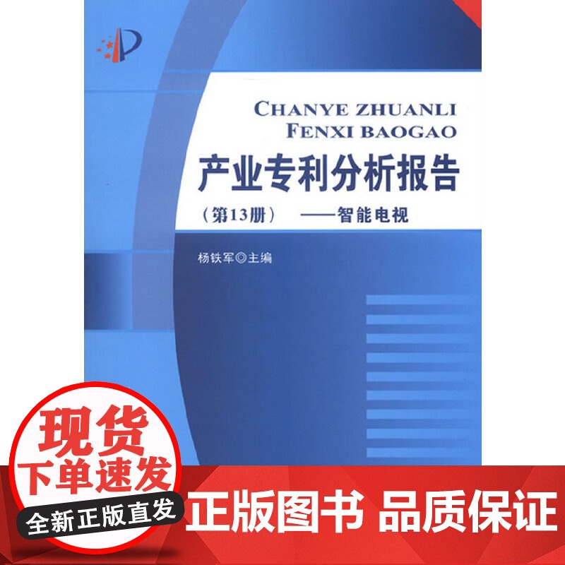 产业专利分析报告(第13册)高清大图