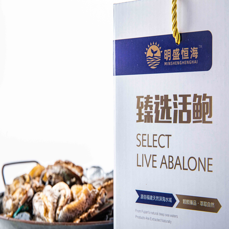 明盛恒海 甄选活鲍8头鲍/3斤