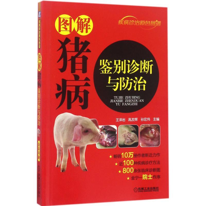 图解猪病鉴别诊断与防治 王泽岩,高发辉,孙宏伟 主编 著作 专业科技 文轩网
