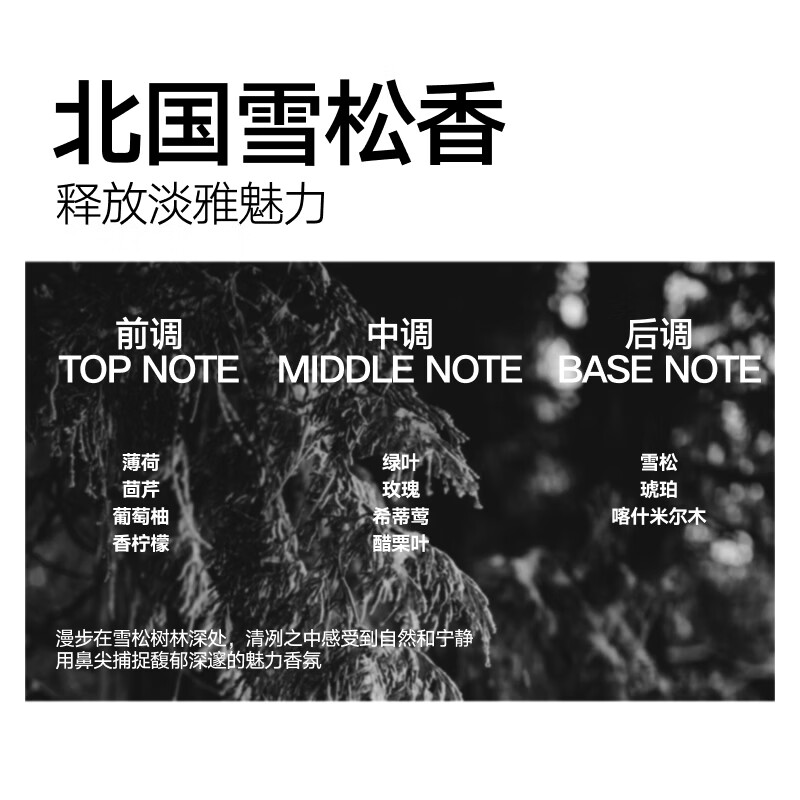理然 先锋空气发泥 15g高清大图