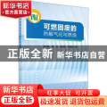 可燃固废的热解气化与燃烧