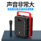 Tbrklm无线蓝牙音箱大功率户外广场舞专用音响大音量手提音响家庭K歌重低音炮大功率无线蓝牙音响加无线话筒(A160)