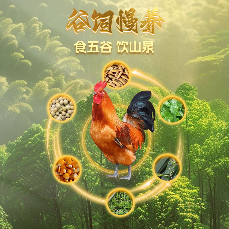 [苏鲜生推荐]三物纪 皖南草公鸡3.5-4斤/只 1只装 农家慢养走地鸡新鲜现杀整只高清大图