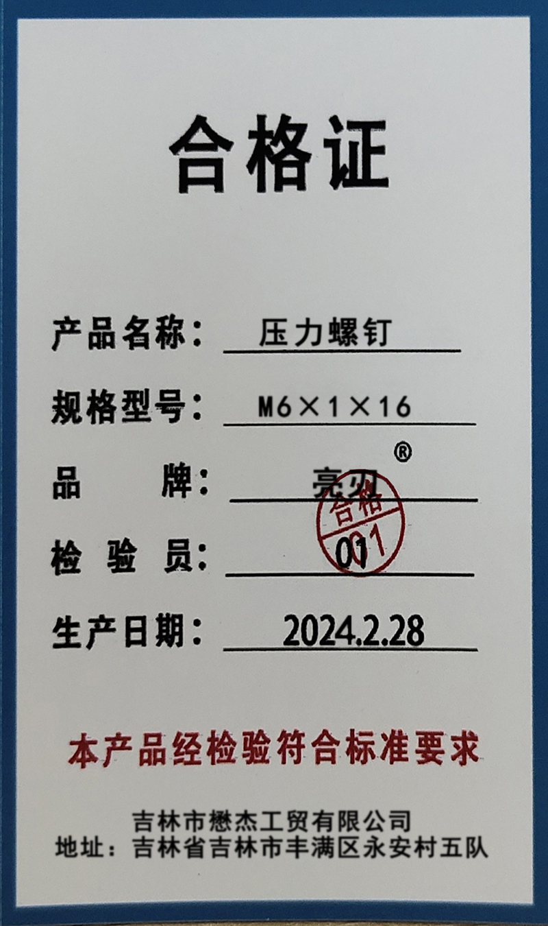 亮刃 压力螺钉 M6×1×16 个高清大图