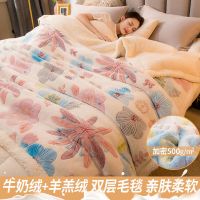 南极人毛毯被子冬季加厚珊瑚绒法兰绒床单盖毯春秋单人毯子床上用 120x200cm【小单人毯】 双层加厚【牛奶绒+羊羔绒】-梦境花园