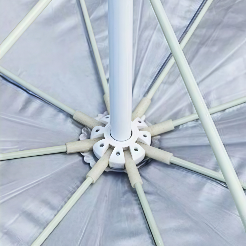 华立伟高清大图