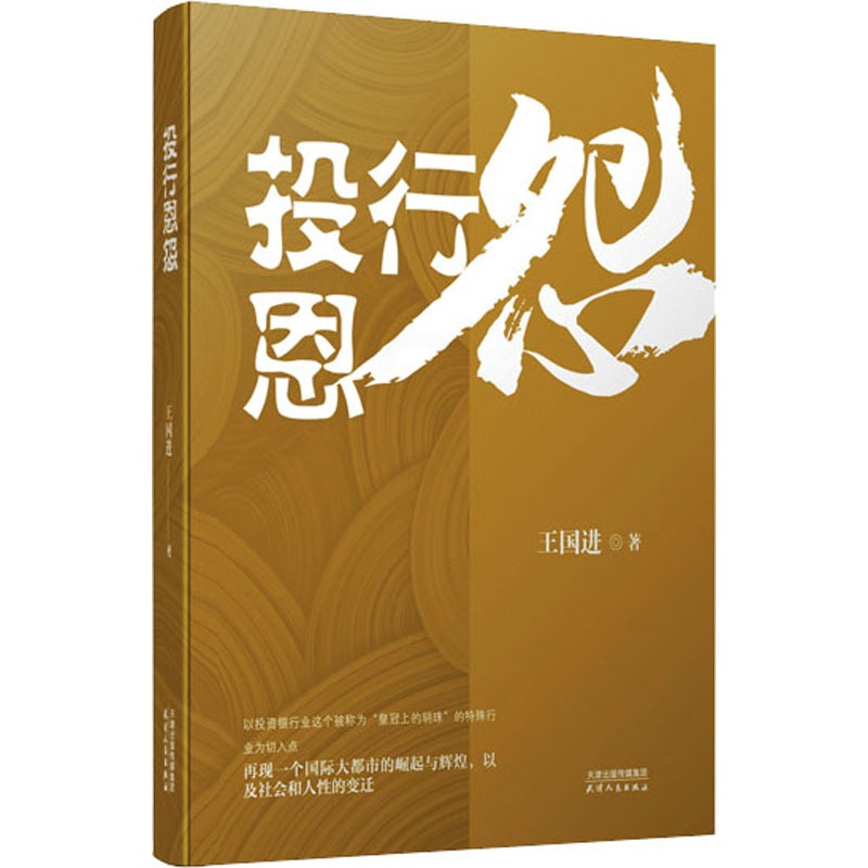 [醉染正版]投行恩怨 王国进 著 官场、职场小说 文学 天津人民出版社 美术高清大图