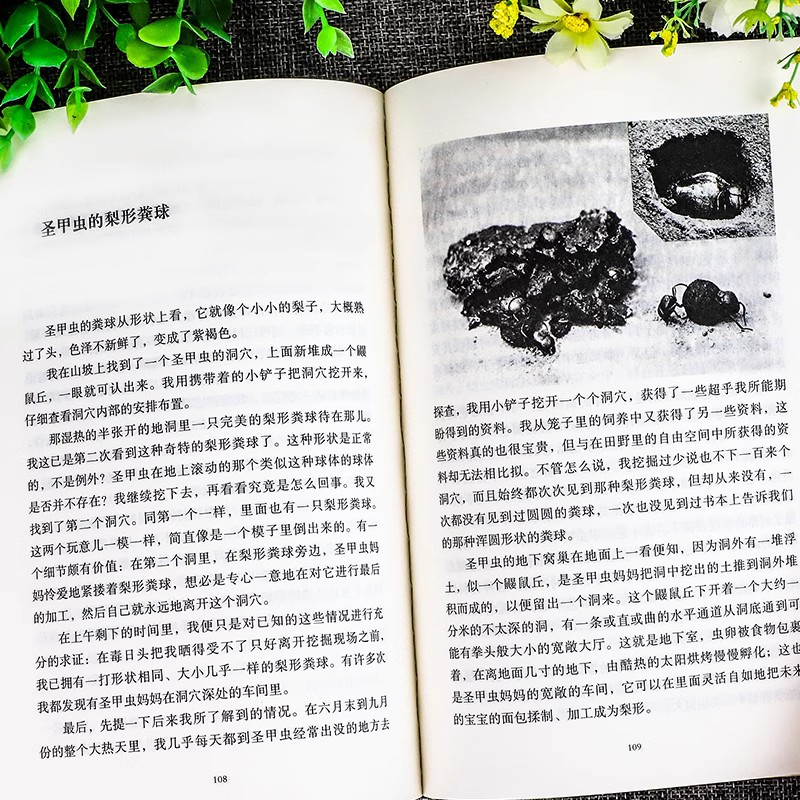 长征+寂静的春天+飞向太空港+星星[8上选读4册] [正版]红星照耀中国和昆虫记原着完整版 八年级上册必读名著课外书 初高清大图