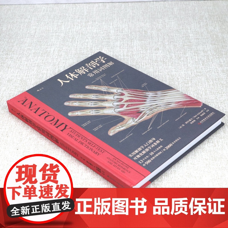 [精装]人体解剖学常用词图解 人体解剖学入门指导 解剖学术语释义词典图解涂色练习医学书籍奈特人体解剖学彩色图谱书籍高清大图