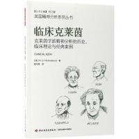 临床克莱茵:克莱茵学派精神分析的历史、临床理论与经典案例