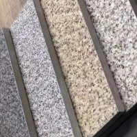 美瑞欧 300*300*20 芝麻白花岗岩 10块/组（单位：组）