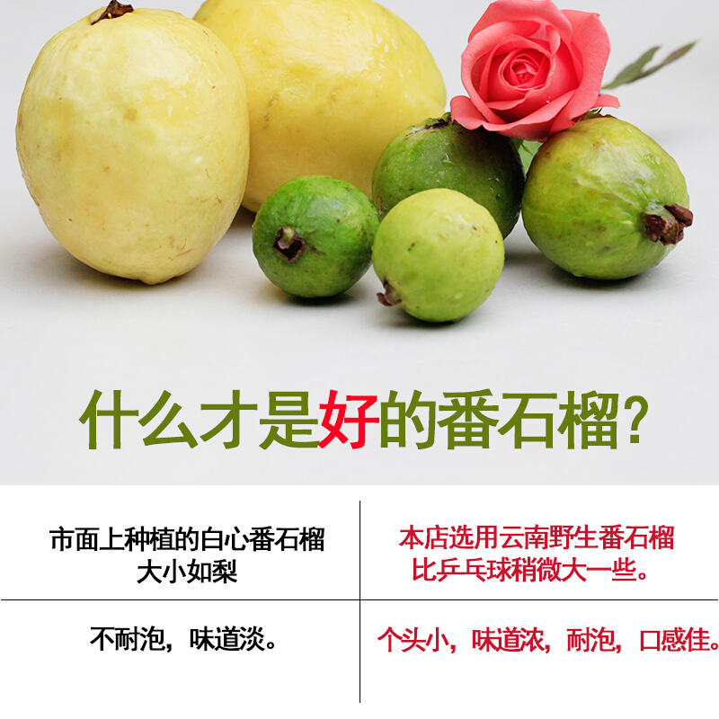 2送I 神芝王朝 番石榴干片茶500g 新货红心番石流感一斤高清大图