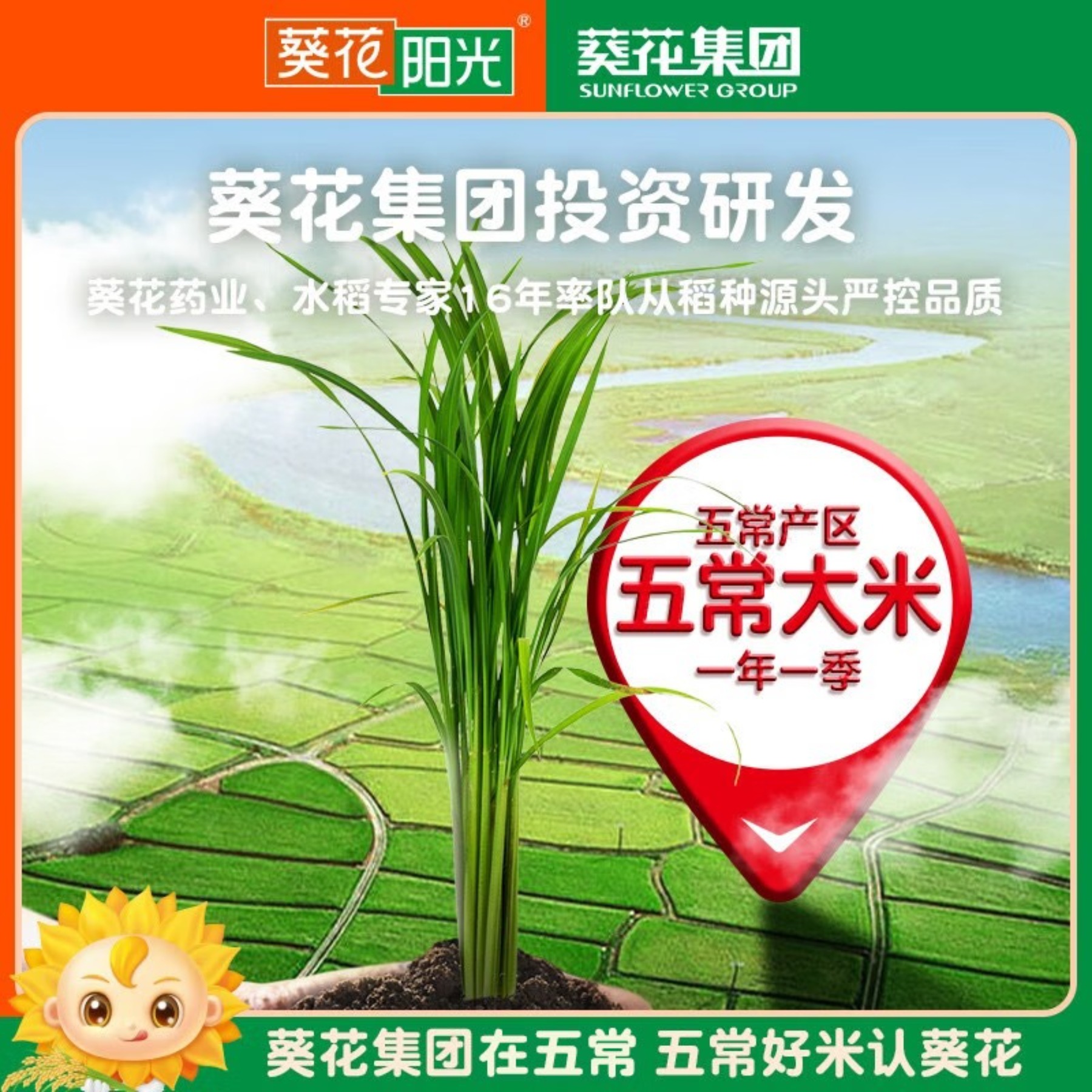 葵花阳光 精稻五常大米 1104334 5kg高清大图