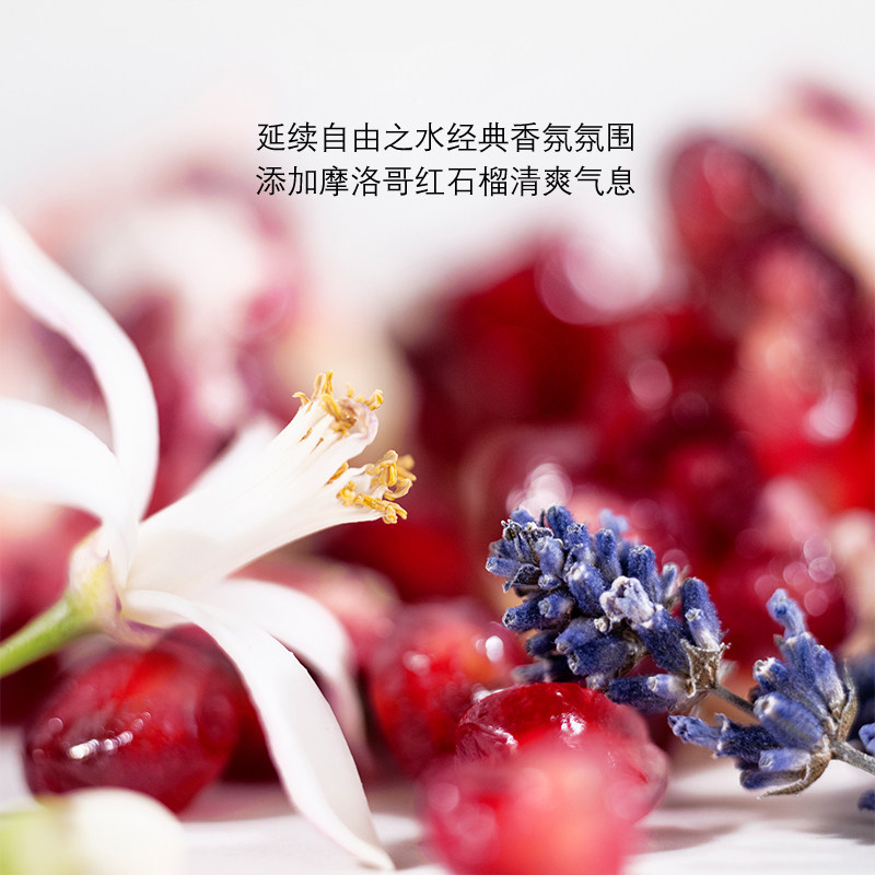 圣罗兰(YSL)全新自由之水发香喷雾30ml 清爽芬芳花香便携秀发留香
