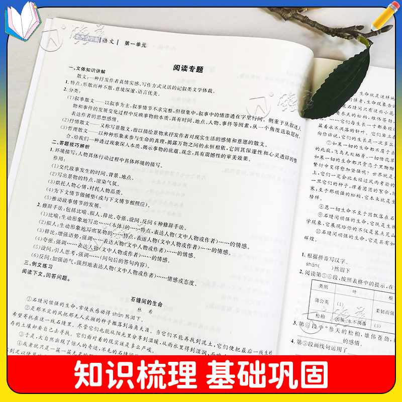 九年级上 英语 初中通用 [正版]钟书金牌 金典导学案六年级上数学英语七年级语文八九年级上下册物理化学课时课后作业同步讲