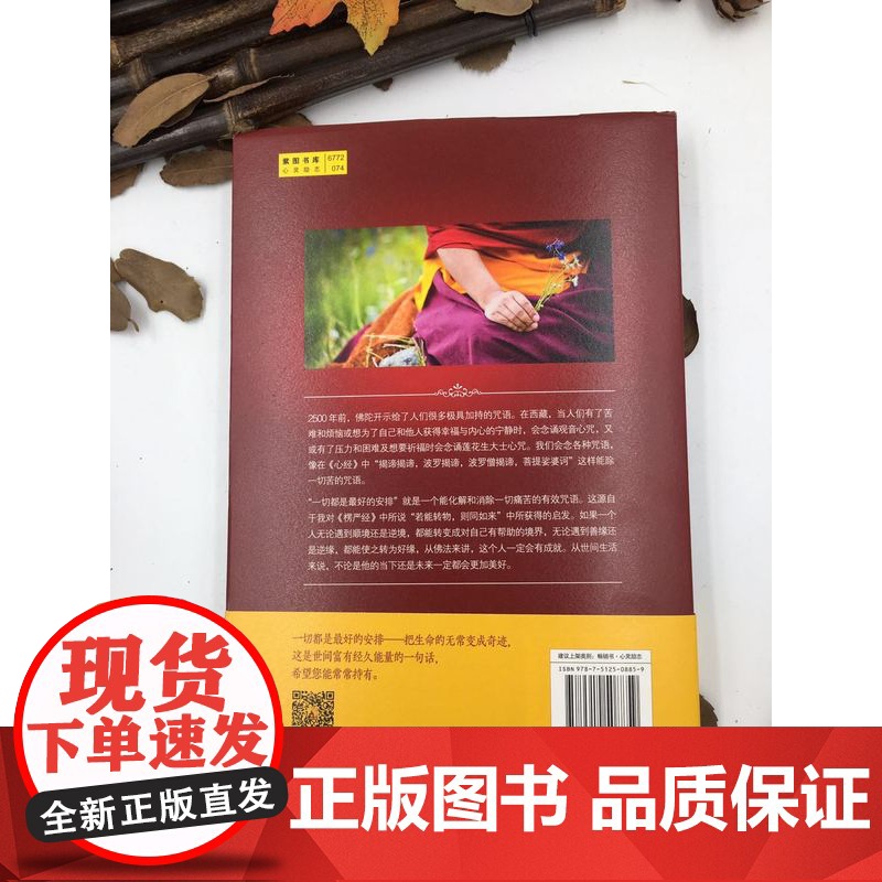 正版 一切都是最好的安排2 把生命的无常变成奇迹 加措活佛 索甲仁波切 国际文化出版公司高清大图