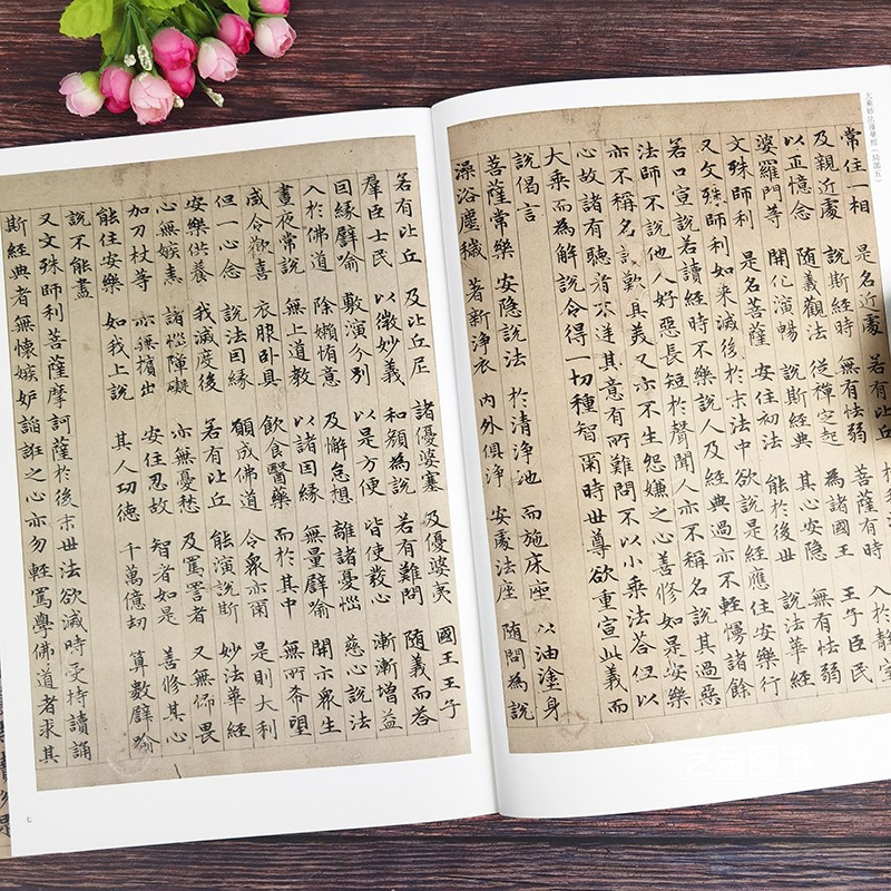 [正版]赵孟頫小楷大乘妙法莲华经 赵孟俯字帖 中国历代经典碑帖 楷书系列 书法字帖碑帖 楷书书法赏析书籍 河南美术出版高清大图