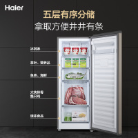 海尔(Haier)151升家用立式冰柜冷柜冷藏冷冻柜小冰箱 风冷无霜 独立分区储存 电子温控 一级能效 BD-152WL