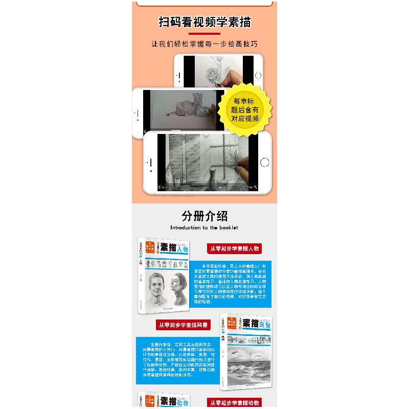 正版新书]从零起步学素描:人物+动物+风景+植物(套装共4册 扫高清大图