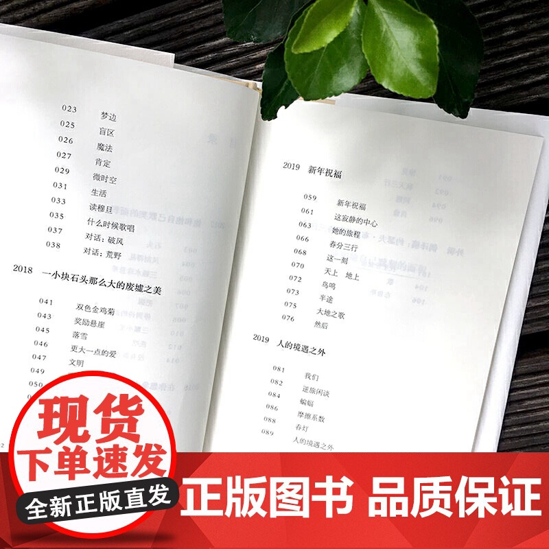 独处时与世界交流的方式(谜文库) 张新颖 华东师范大学出版社 正版书籍高清大图