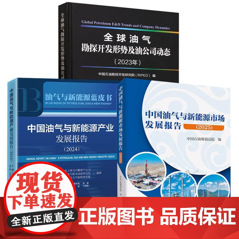 3册全球油气勘探开发形势及油公司动态(2023年)+中国油气与新能源市场发展报告(2025)+中国油气与新能源产业发展报高清大图
