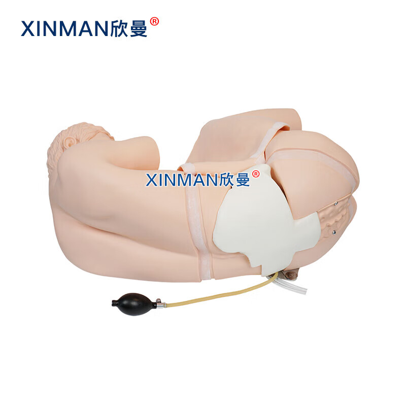 欣曼科教 腰椎穿刺模拟人 腰椎穿刺训练模型 教学实验用XM-YC01高清大图