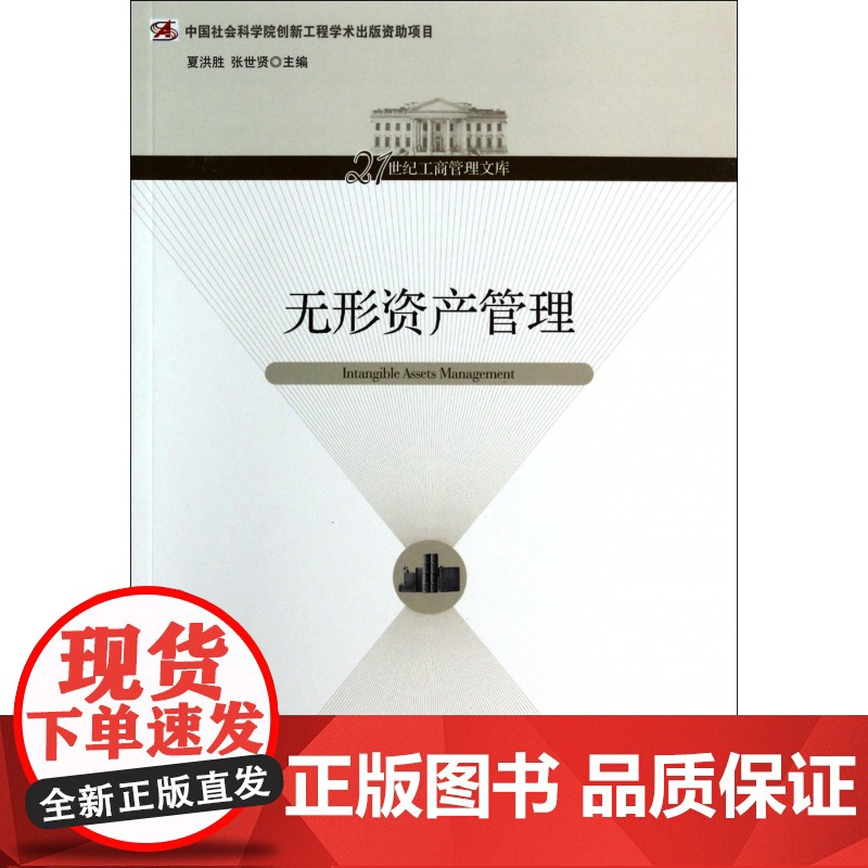无形资产管理/21世纪工商管理文库高清大图