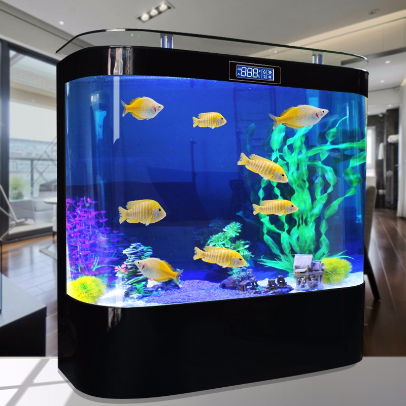 入户双圆形鱼缸玻璃生态水族箱现代家用客厅中大型简约免换水