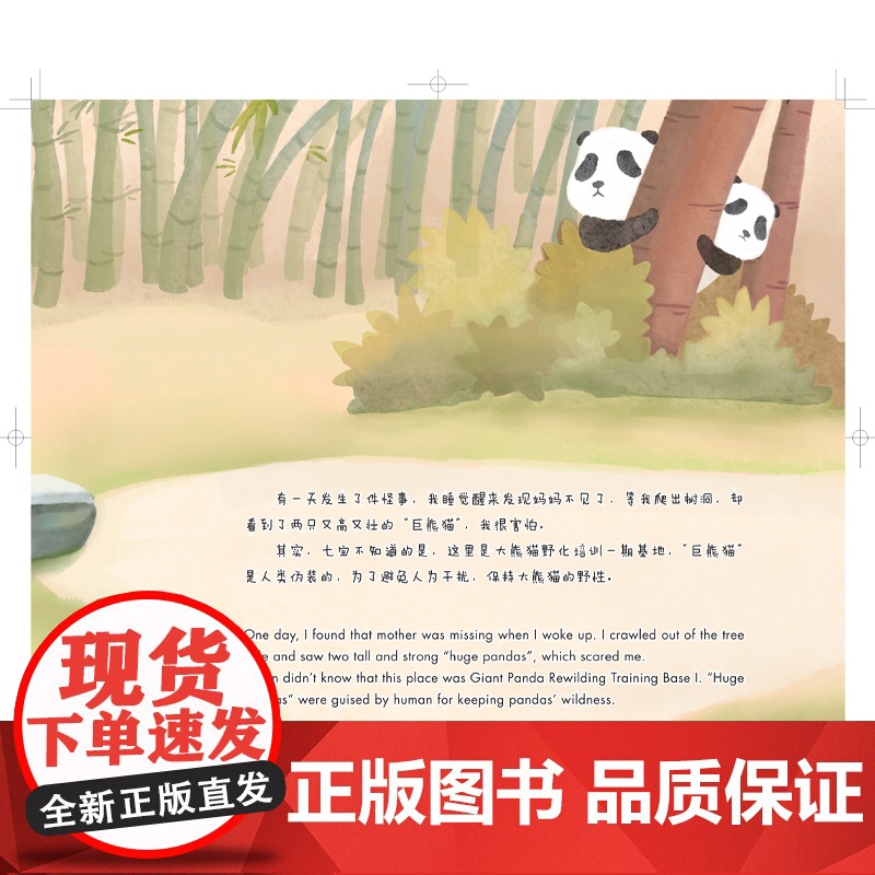 大熊猫的故事(中国珍稀物种科普丛书) 上海科技馆原创动物科普绘本讲述大熊猫的奇妙故事 艺术质感的少儿科普读物高清大图