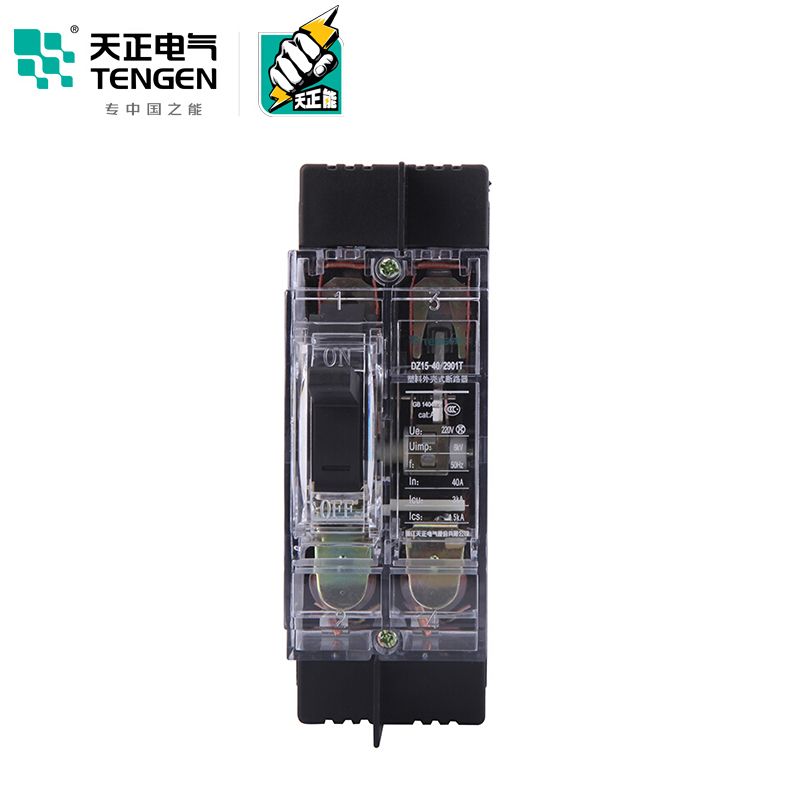 天正电气 DZ15-40 3KA 热磁式 40A 2P 手动 固定式 220V 01040030072 塑壳断路器