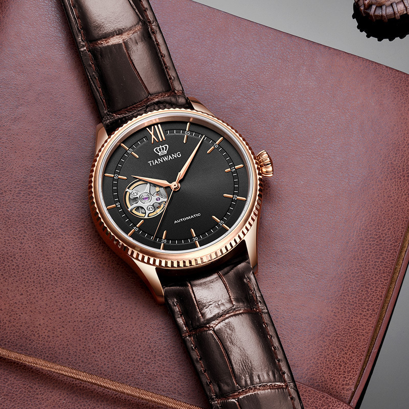 天王表男表昆仑系列机械表皮带休闲男士手表腕表gs51154