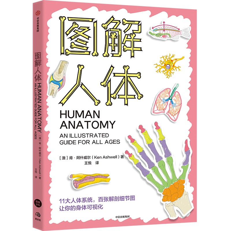 正版新书]图解人体(澳)肯·阿什威尔 著 王悦 译9787521764659高清大图