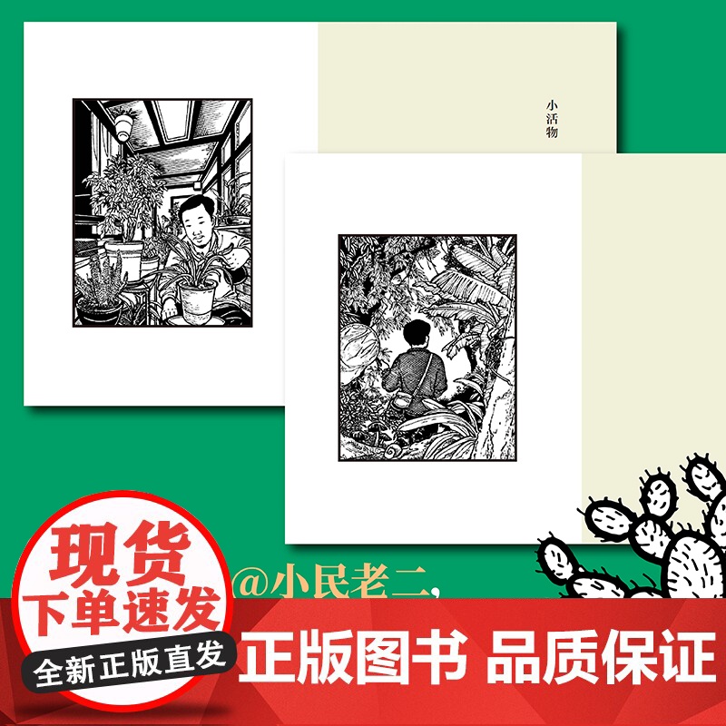 摇摇乐礼盒版 全彩飞机盒]解闷儿:张辰亮散文集 全网粉丝5000w+现象级科普工作者 无穷小亮的S部散文集 朱赢椿装帧设高清大图